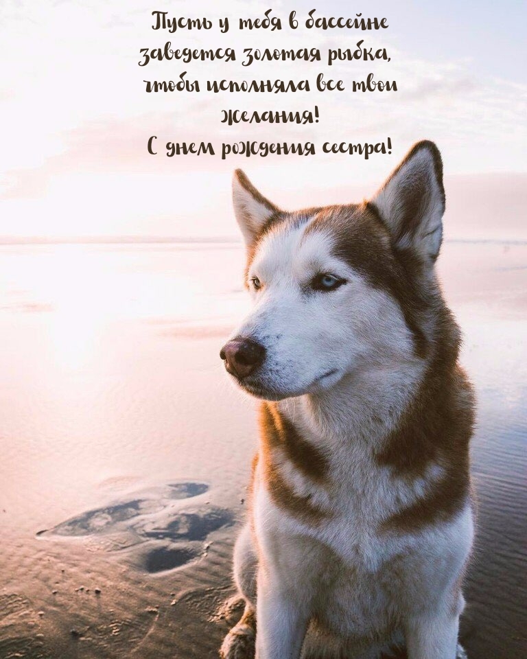 С днем рождения сестра! Пусть в бассейне заведется золотая рыбка