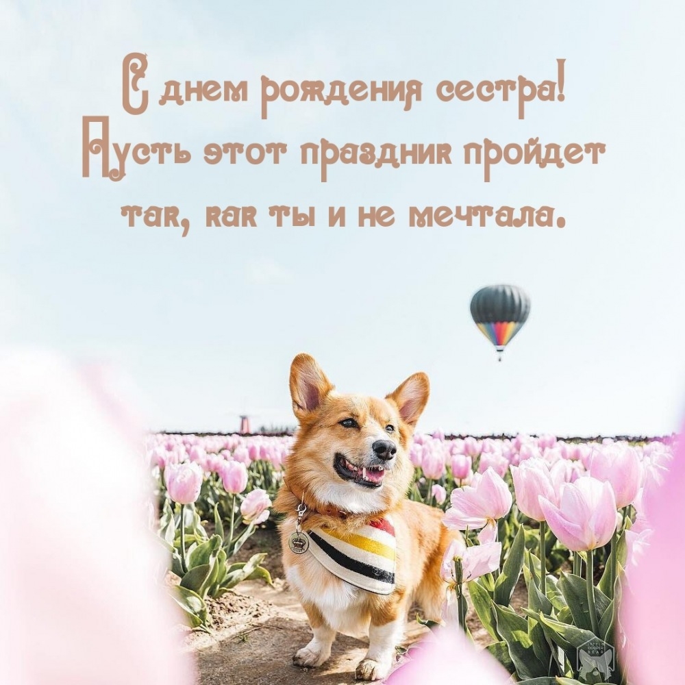 Пусть этот праздник пройдет так, как ты и не мечтала.