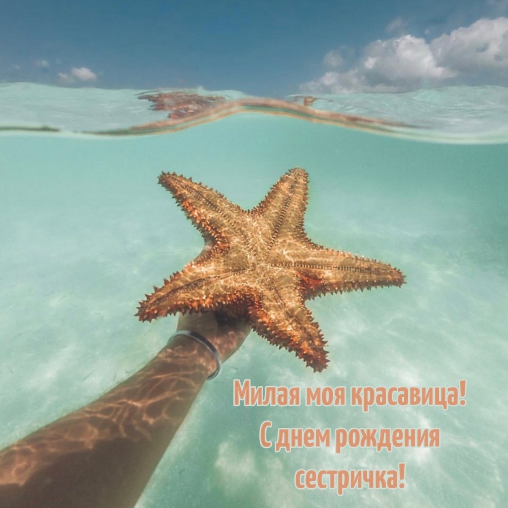 Милая моя красавица! С днем рождения сестричка!