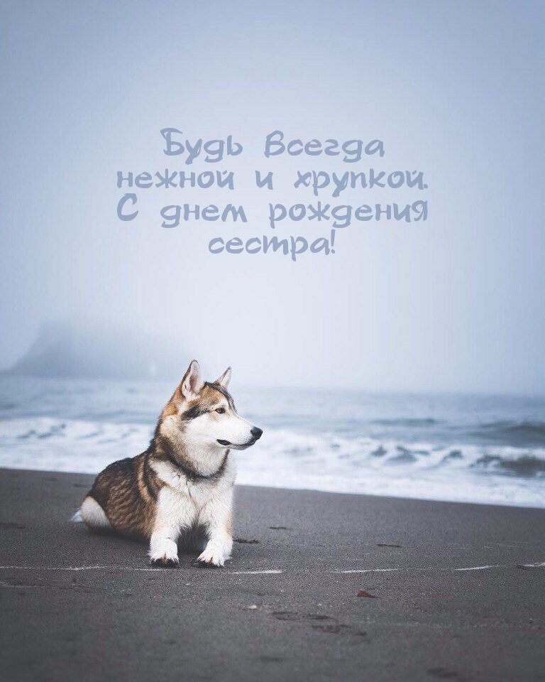 Будь всегда нежной и хрупкой. С днем рождения сестра!