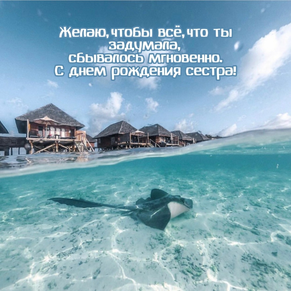 Желаю, чтобы всё, что ты задумала, сбывалось мгновенно.