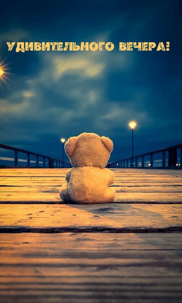 Удивительного вечера!