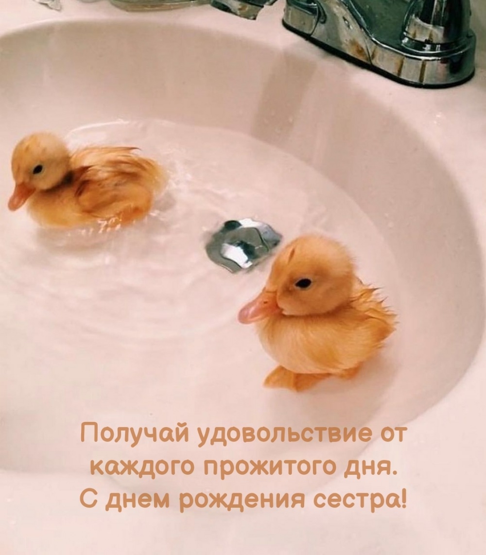 Получай удовольствие от каждого дня. С днем рождения сестра!