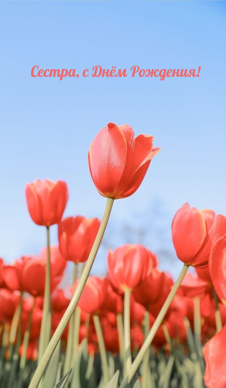 Сестра, с Днём Рождения!