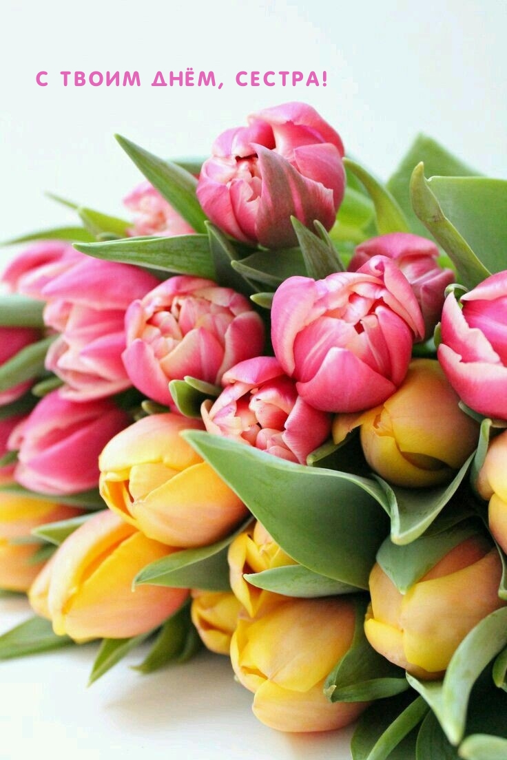 С Твоим Днём, Сестра!