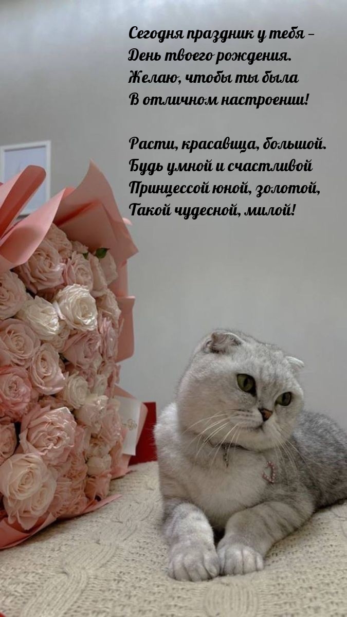 Сегодня праздник у тебя — день твоего рождения.