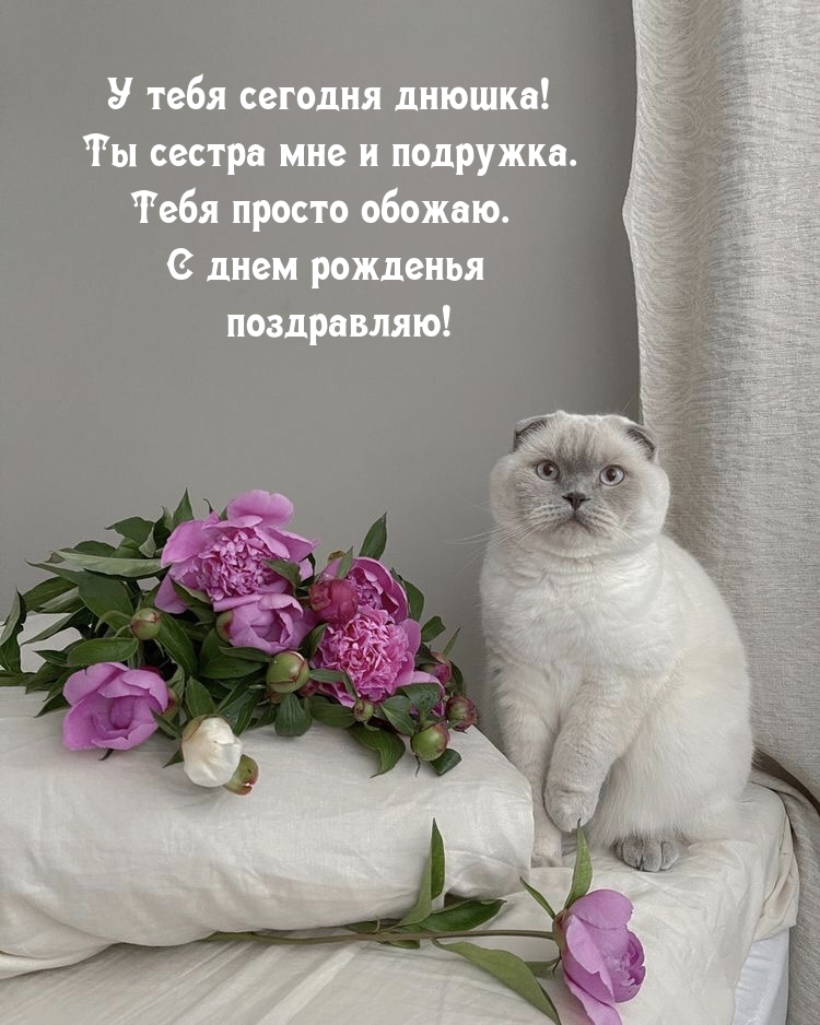 У тебя сегодня днюшка! Ты сестра мне и подружка.