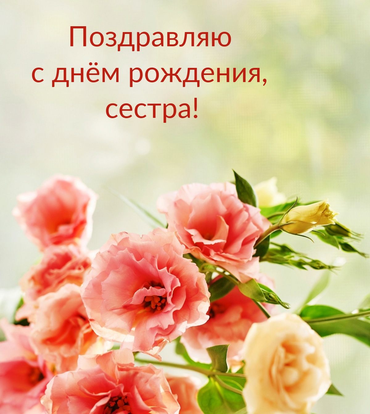 С днём рождения, сестра!