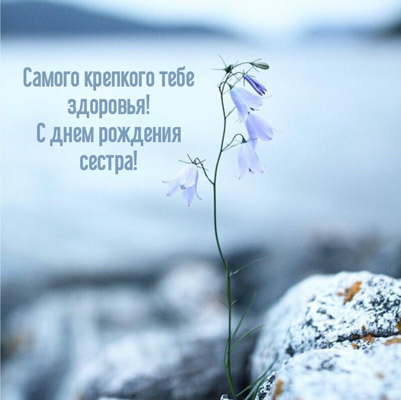 Самого крепкого тебе здоровья! С днем рождения сестра!