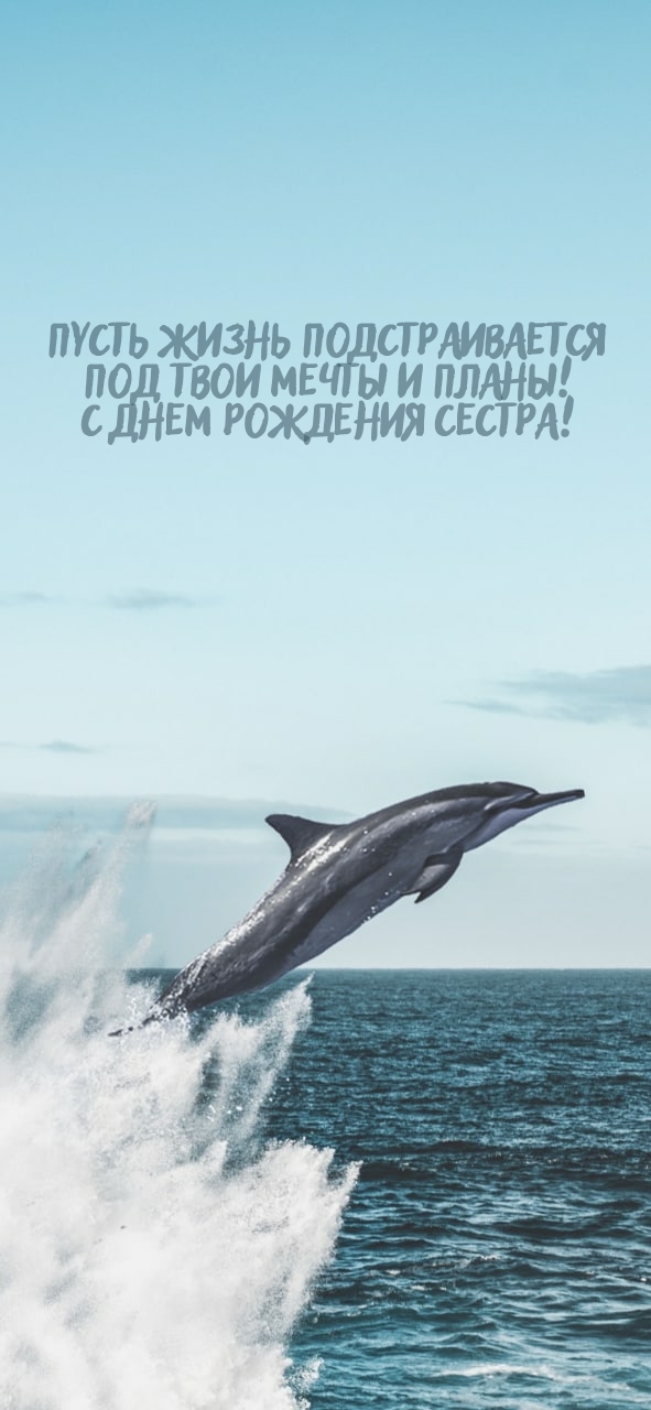 Пусть жизнь подстраивается под твои мечты и планы!