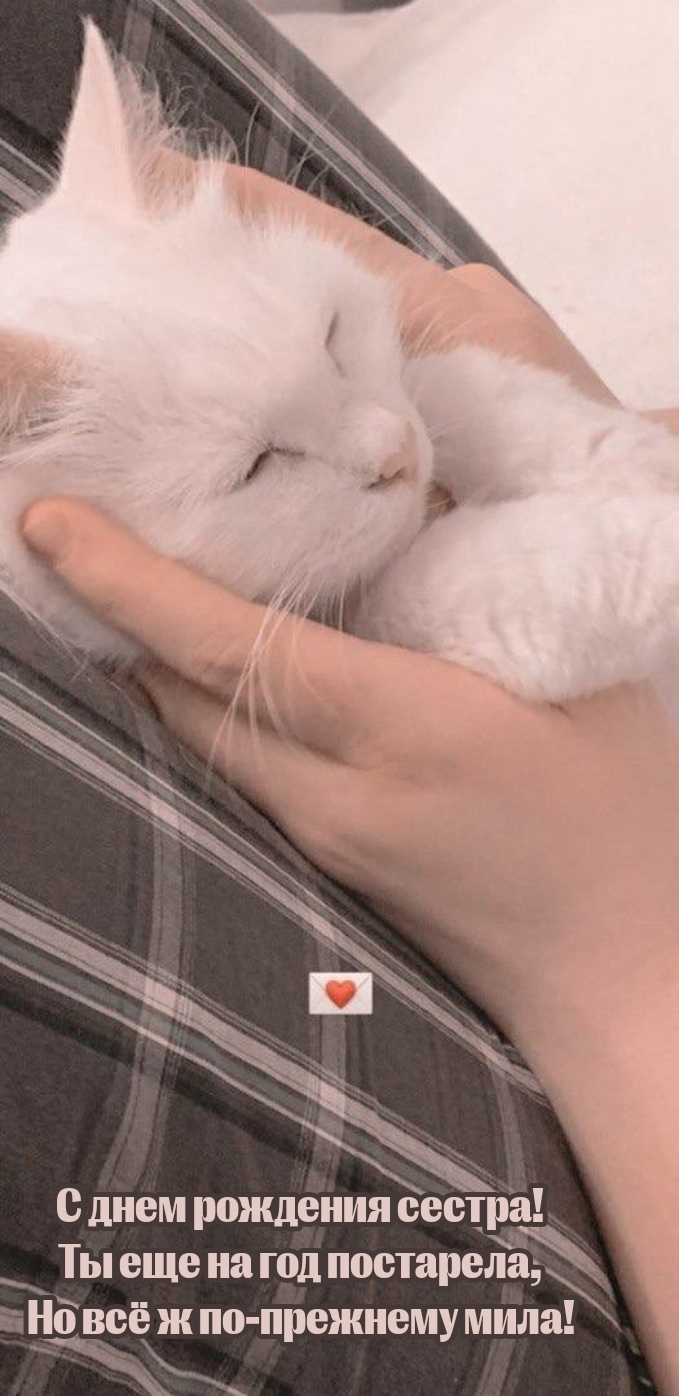 С днем рождения сестра! Ты еще на год постарела