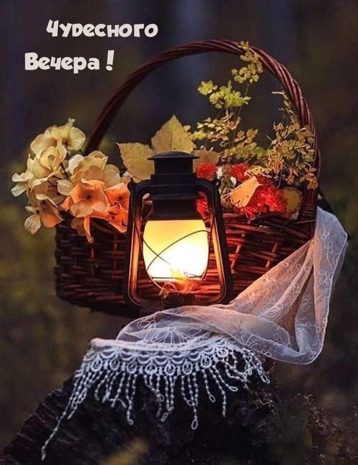 Чудесного Вечера!