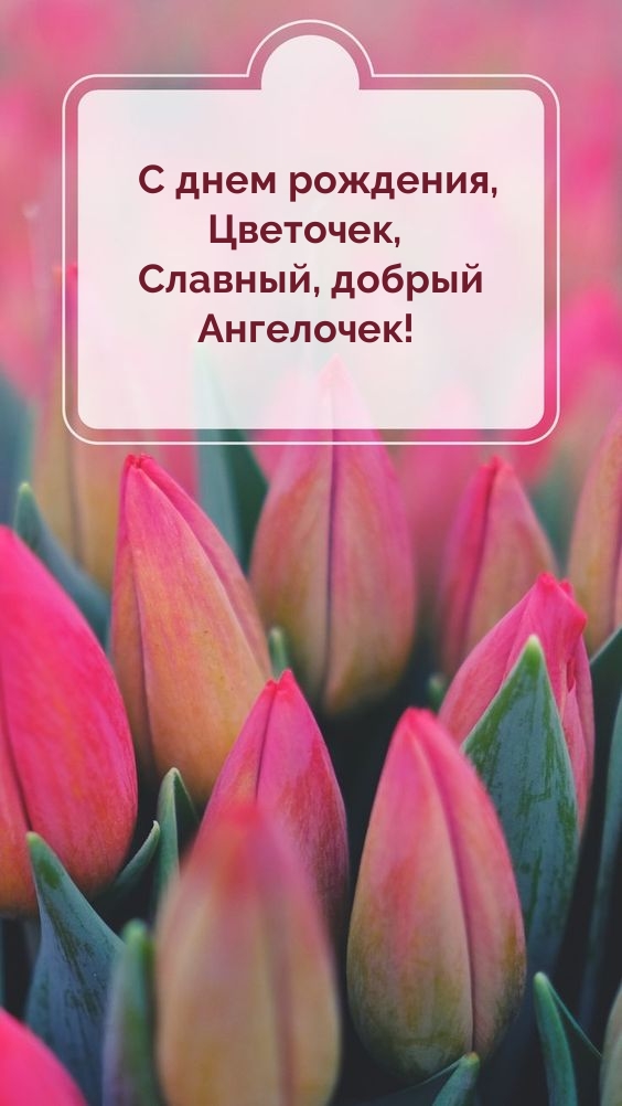 С днем рождения, Цветочек, Славный, добрый Ангелочек!