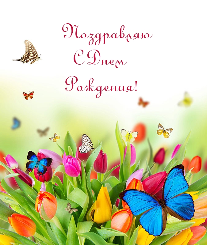 Поздравляю с Днем Рождения!