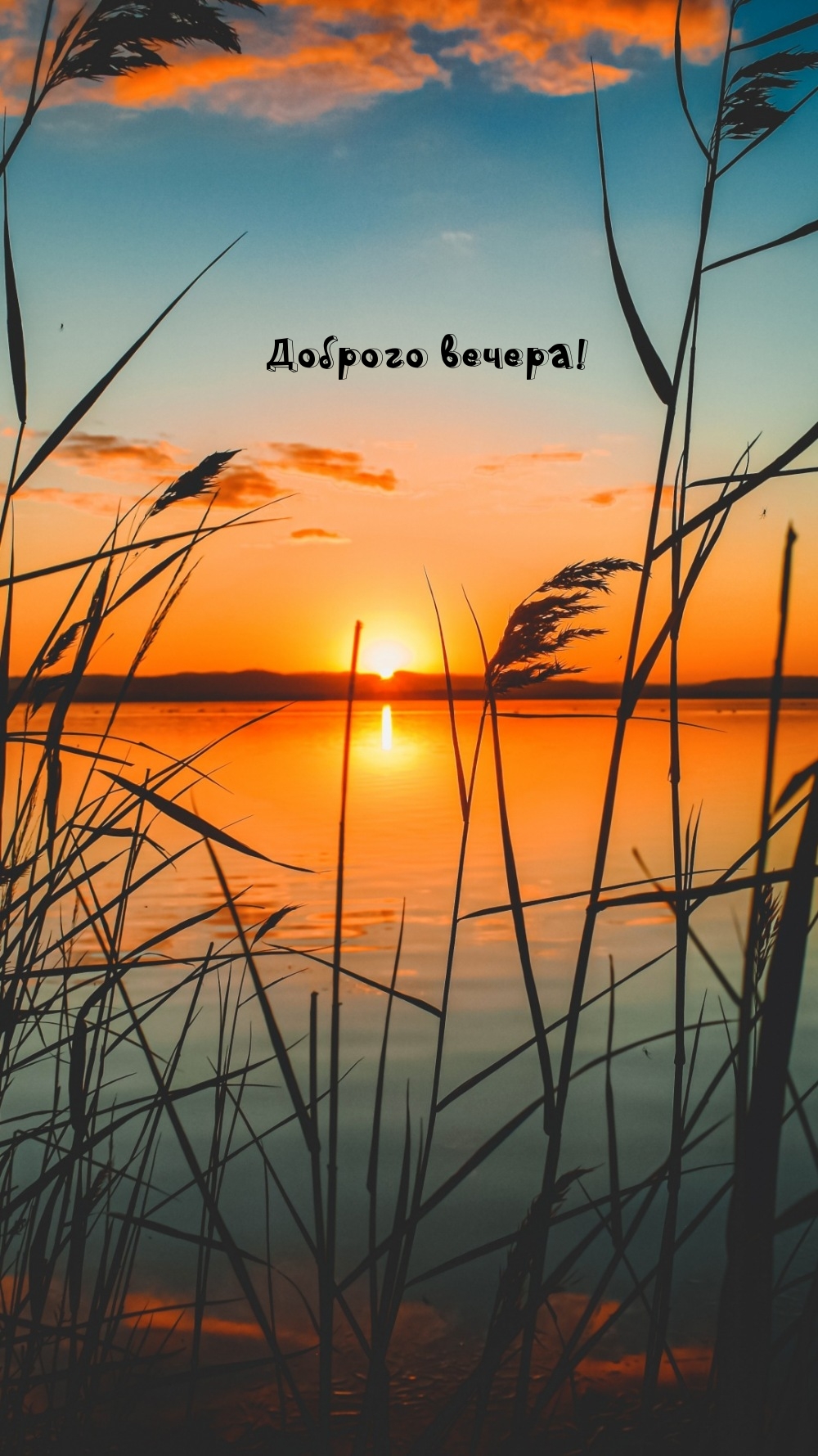 Доброго вечера!