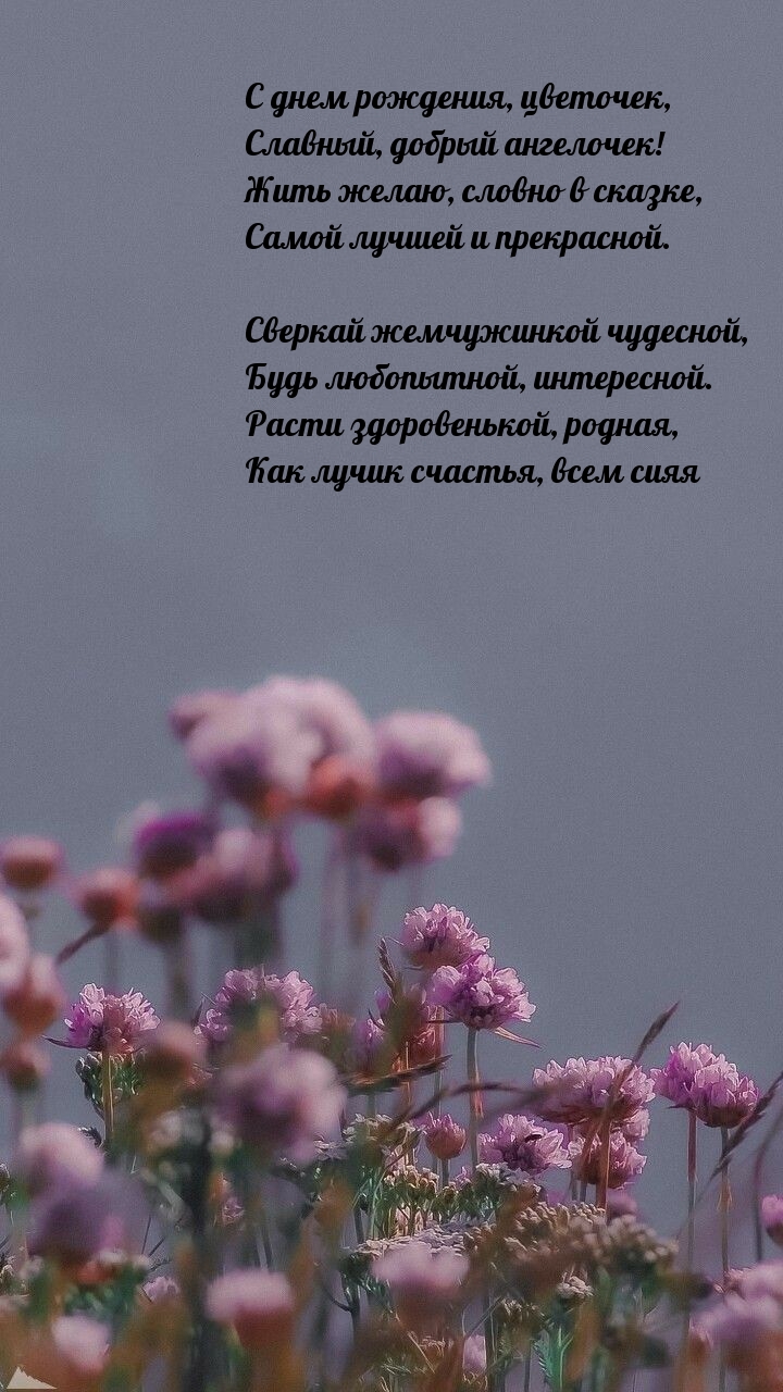 С днем рождения, цветочек, Славный, добрый ангелочек!