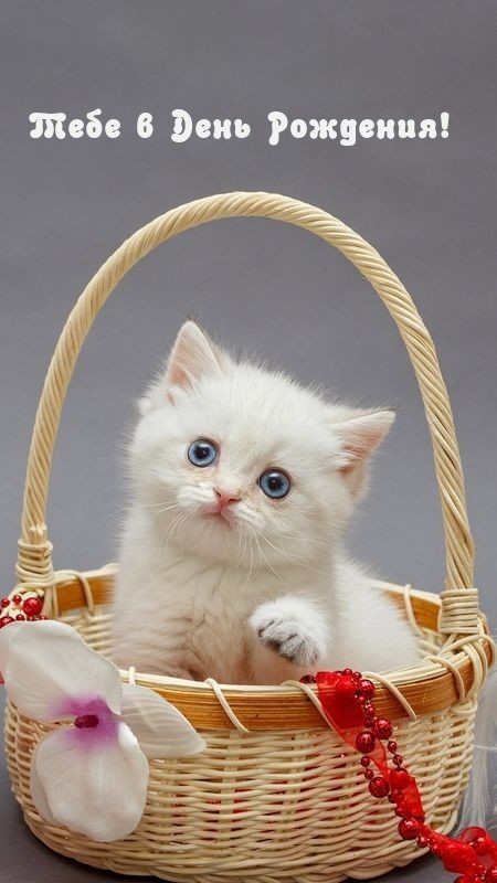 Тебе в День Рождения!