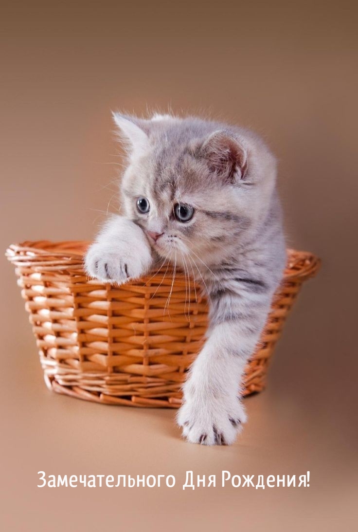Замечательного Дня Рождения!