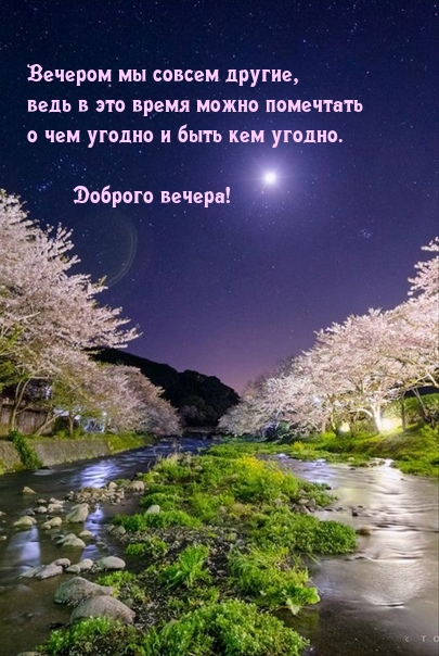 Доброго вечера! Вечером мы совсем другие