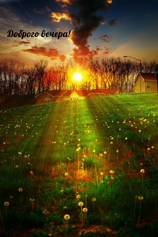 Доброго вечера!
