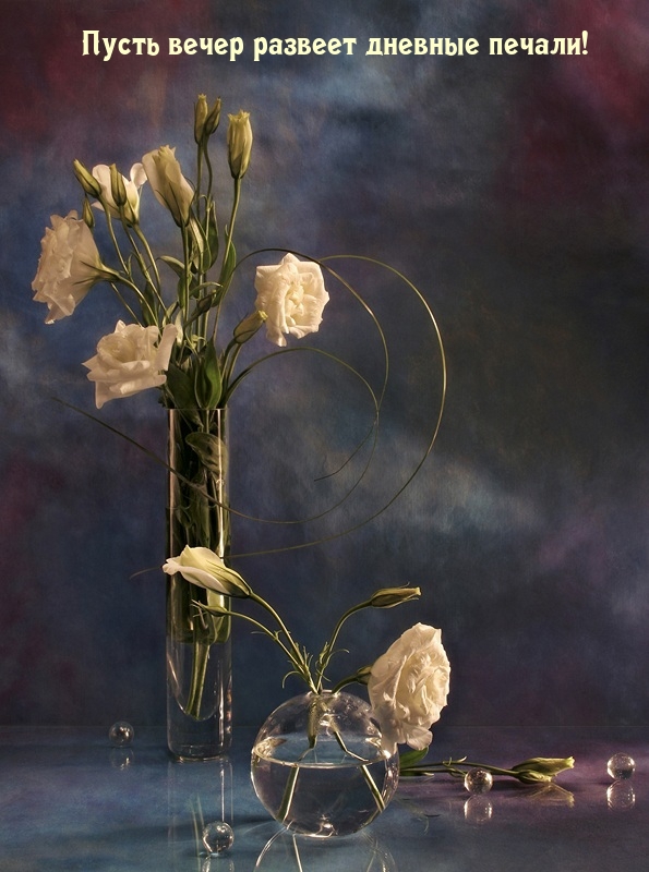 Пусть вечер развеет дневные печали!
