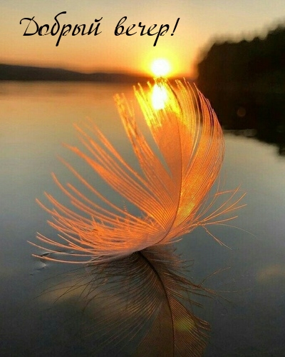 Добрый вечер!