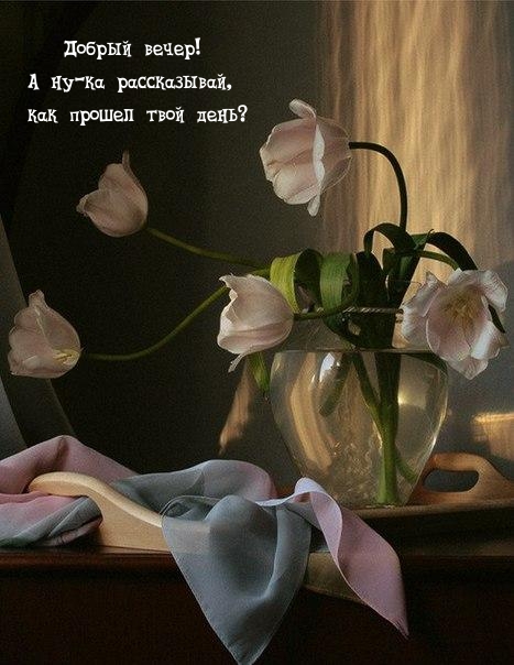 Добрый вечер! А ну-ка рассказывай, как прошел твой день?