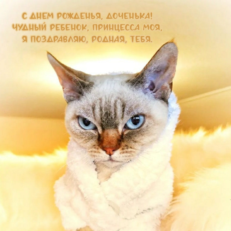 С днем рожденья, доченька! Чудный ребенок, принцесса моя
