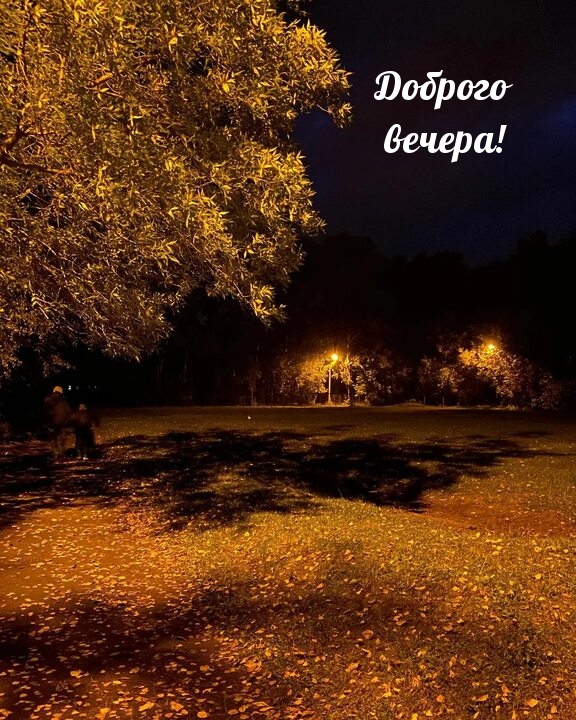 Доброго вечера!