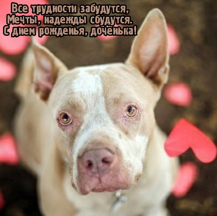 С днем рожденья, доченька! Все трудности забудутся