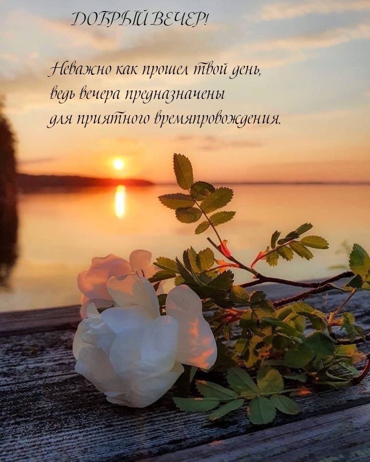 Вечера предназначены для приятного времяпровождения.