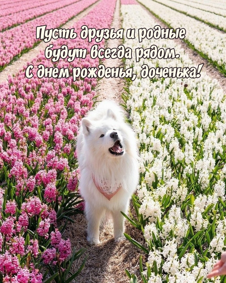 С днем рожденья, доченька! Пусть друзья и родные 