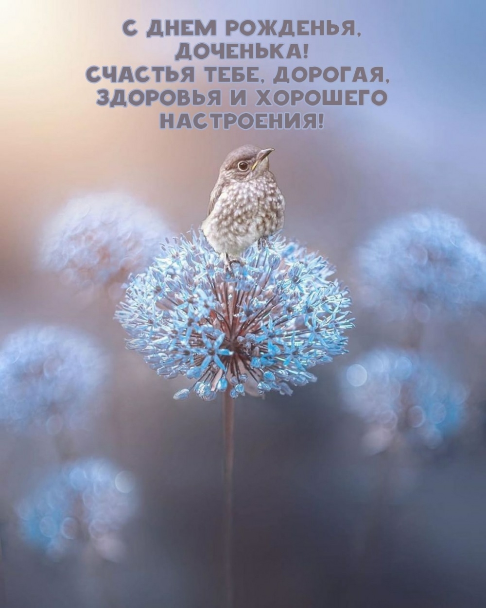 С днем рожденья, доченька! Счастья тебе, дорогая