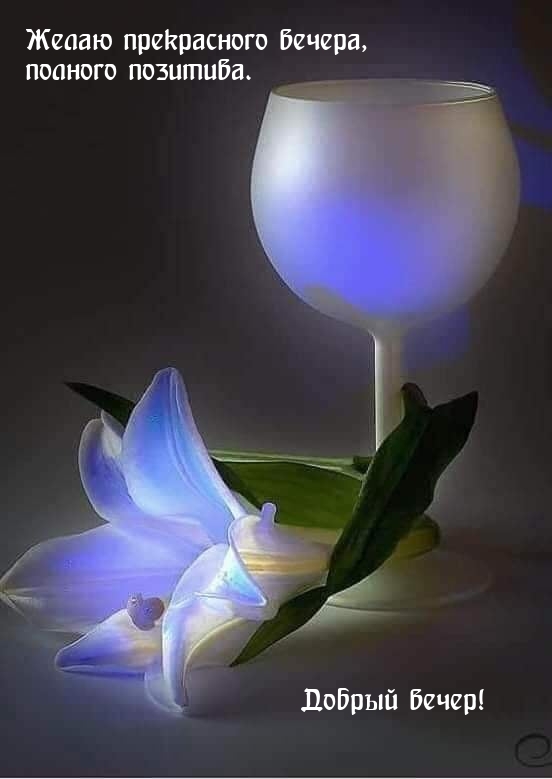 Желаю прекрасного вечера, полного позитива.