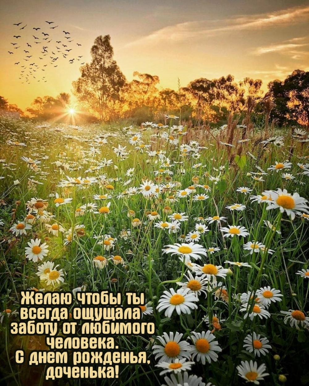 С днем рожденья, доченька! Желаю чтобы ты всегда ощущала заботу