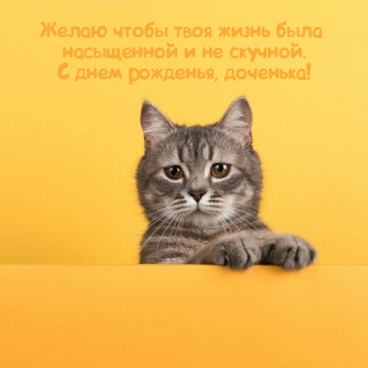 С днем рожденья, доченька! Желаю чтобы жизнь была насыщенной 