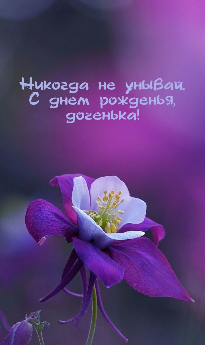 Никогда не унывай. С днем рожденья, доченька!