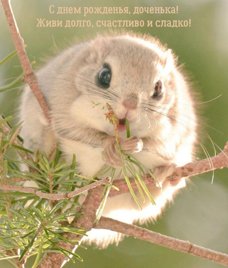 С днем рожденья, доченька! Живи долго, счастливо и сладко!