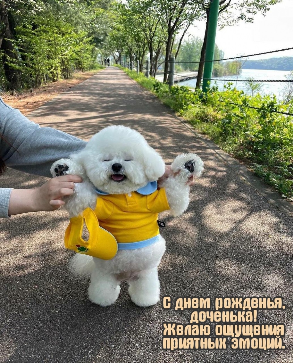 С днем рожденья, доченька! Желаю ощущения приятных эмоций.