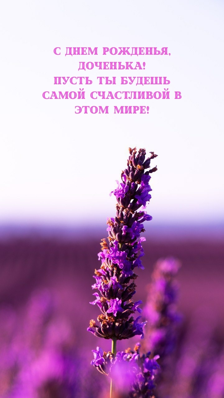 С днем рожденья, доченька! Пусть ты будешь самой счастливой 