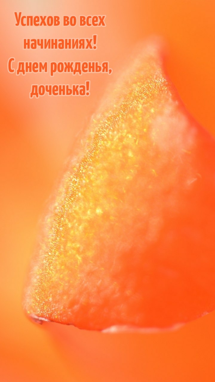 Успехов во всех начинаниях! С днем рожденья, доченька!