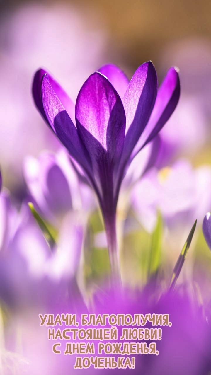 Удачи, благополучия, настоящей любви! С днем рожденья, доченька!