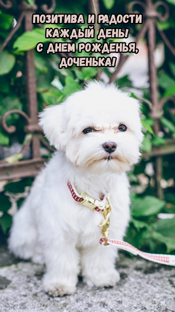Позитива и радости каждый день! С днем рожденья, доченька!
