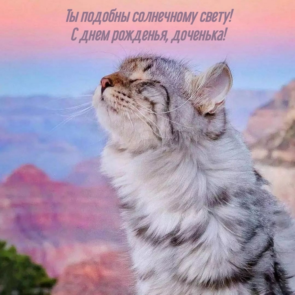 Ты подобны солнечному свету! С днем рожденья, доченька!