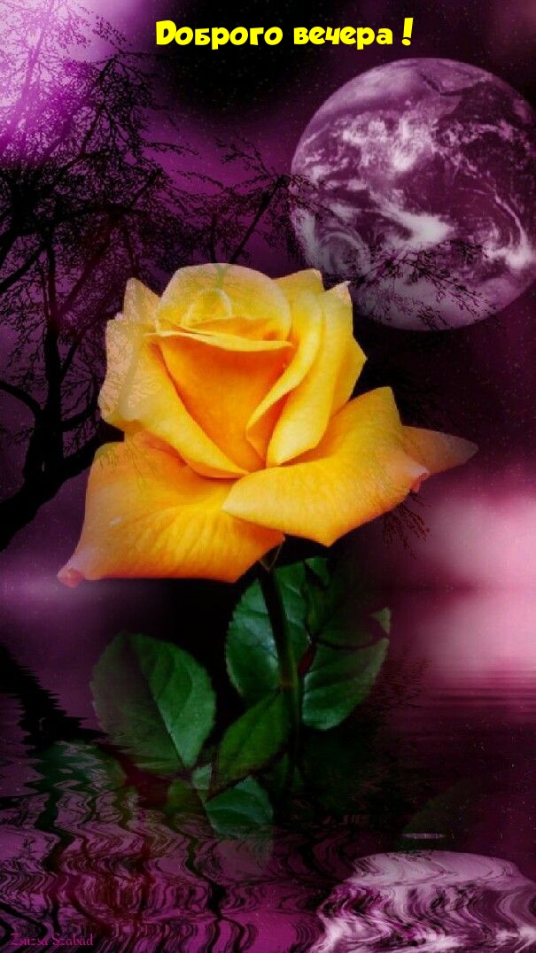 Доброго вечера!