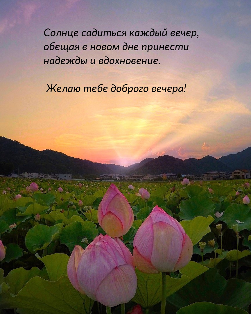 Солнце садиться каждый вечер, обещая принести надежды 
