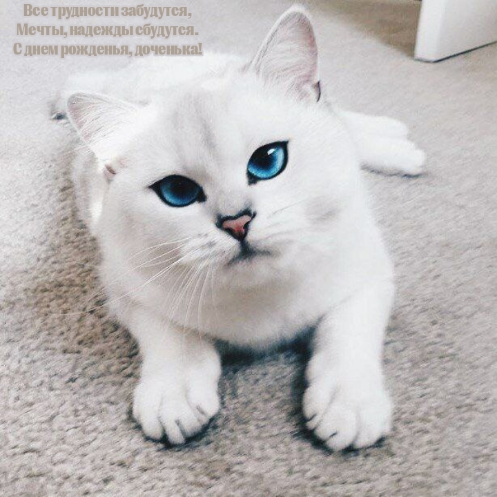 Мечты, надежды сбудутся. С днем рожденья, доченька!