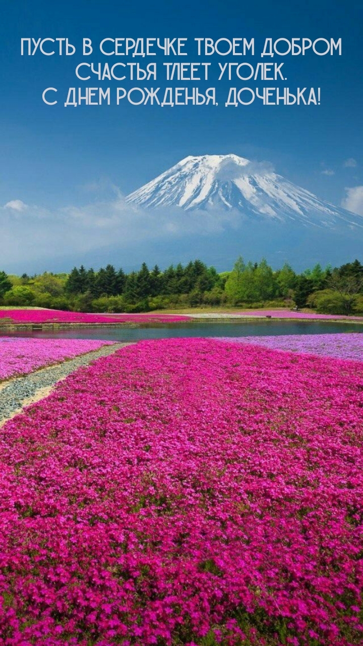 С днем рожденья, доченька! Пусть в сердечке счастья тлеет уголек.