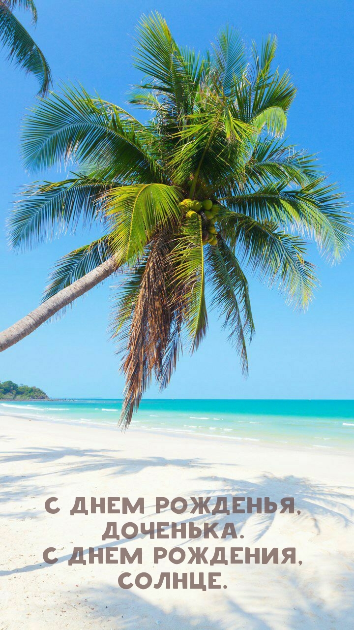С днем рожденья, доченька. С днем рождения, солнце.