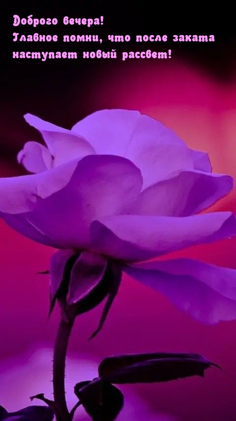 Доброго вечера! Наступает новый рассвет!
